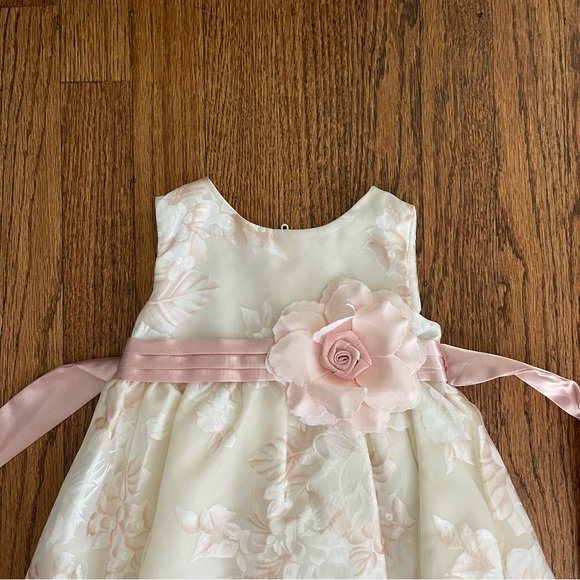 Rare Editions - Picture 3 of 5